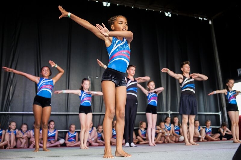 What has 'Diversity' got in common with our children's gymnastics clubs?
