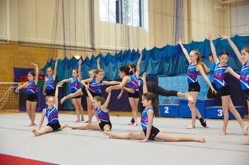 A gymnastics display final position
